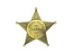 Indian Police Tahlequah Badge
